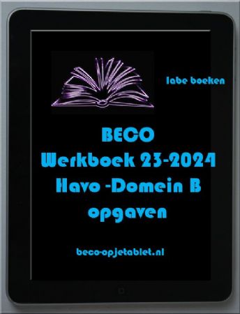 Examentraining Beco Havo 2023-2024 Domein B opgave