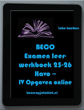 Examen werkboek Havo Beco IV Opgaven online